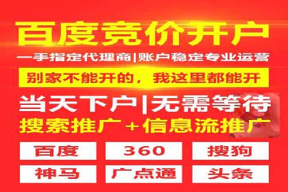 SEM广告投放的预算分配与效果评估——以某企业为例